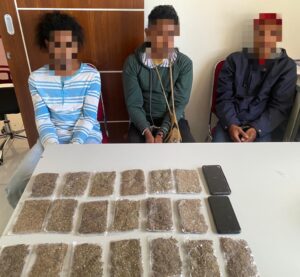 Polisi Amankan Narkoba Jenis Ganja dari Jayapura